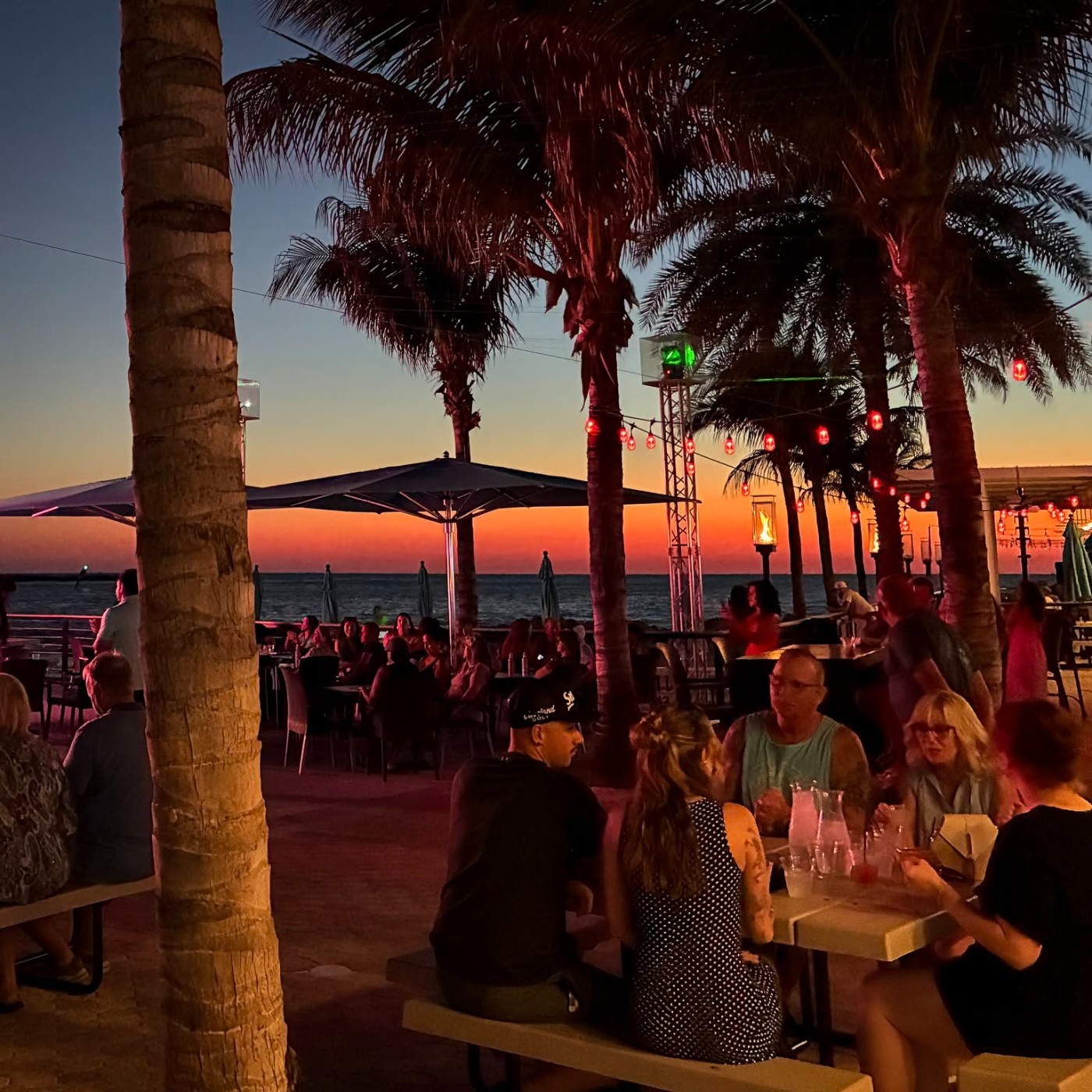 Shephard's Tiki Beach Bar & Grill photo 3